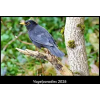 Vero Kalender Vogelparadies 2026 Fotokalender DIN A3 von Tobias