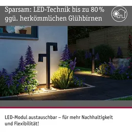 Paulmann LED Pollerleuchte Kimu Aluminium 44,9 cm 2x7,8W 720lm anthrazit