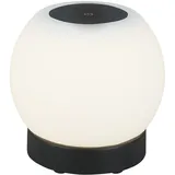 Briloner Poka Schwarz 1