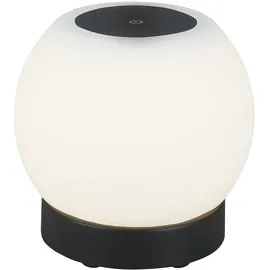 Briloner Poka Schwarz 1