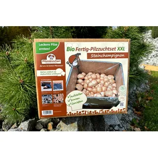 Bio Steinchampignon-Pilzzuchtset
