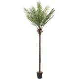 ML-Design Künstliche Palme 210 cm Groß, Tropische Kunstpalme im Topf