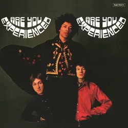 Are You Experienced