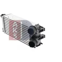 AKS DASIS 067008N