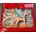 Schleich Bayala Schmuckeinhorn-Pegasus Fohlen 70575