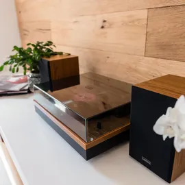 Lenco LS-300 braun
