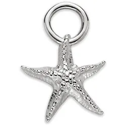 PAUL HEWITT - ANHÄNGER - CHARM - Starfish -  silver