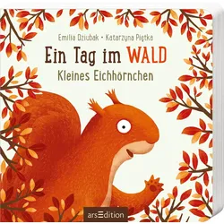 Ein Tag im Wald: Kleines Eichhörnchen Buch 1 St