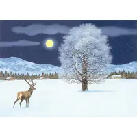 Gerstenberg Verlag Zauberhafte Winternacht Adventskalender