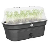 elho Anzuchtkasten Green Basics 32 x 18 x 22 cm