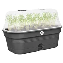 elho Anzuchtkasten Green Basics 32 x 18 x 22 cm