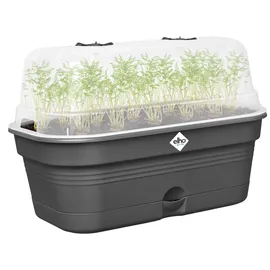 elho Anzuchtkasten Green Basics 32 x 18 x 22 cm