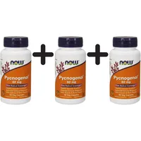 NOW Foods Pycnogenol mit Acerola & Rutin Kapseln 50 St.