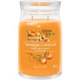 Yankee Candle Farm Fresh Peach große Kerze 567 g