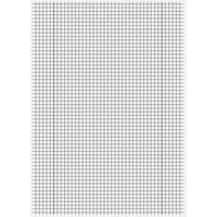 Staufen Staufen® Schulhefte kariert DIN A4 Innen- und Außenrand, 16 Blatt, 10 St.