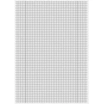 Staufen Staufen® Schulhefte kariert DIN A4 Innen- und Außenrand, 16 Blatt, 10 St.