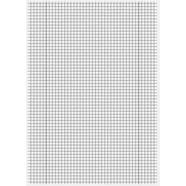 Staufen Staufen® Schulhefte kariert DIN A4 Innen- und Außenrand, 16 Blatt, 10 St.