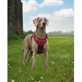 LIONTO Hundegeschirr Rot XL