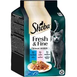 Sheba Fresh & Fine Gelee Thunfisch, Lachs - Weißfisch 36x50 g
