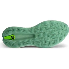 ECCO Biom H5 Boa Herren Weiß 45