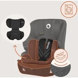 lionelo Levi Fix i-Size Schwarz