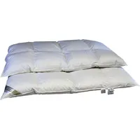 Betten Hofmann Eiszeit Premium 10 cm Winter Hochsteg Daunendecke Daunenbett 4x6 155x220 cm - Weiß