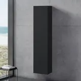 Neoro n50 | n50T46 Hochschrank mit Innenspiegel und 1 Tür, BN0460BM,