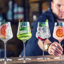 GASTROBACK Design Multi-Power 40987 Standmixer