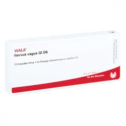 Nervus Vagus Gl D6 Ampullen