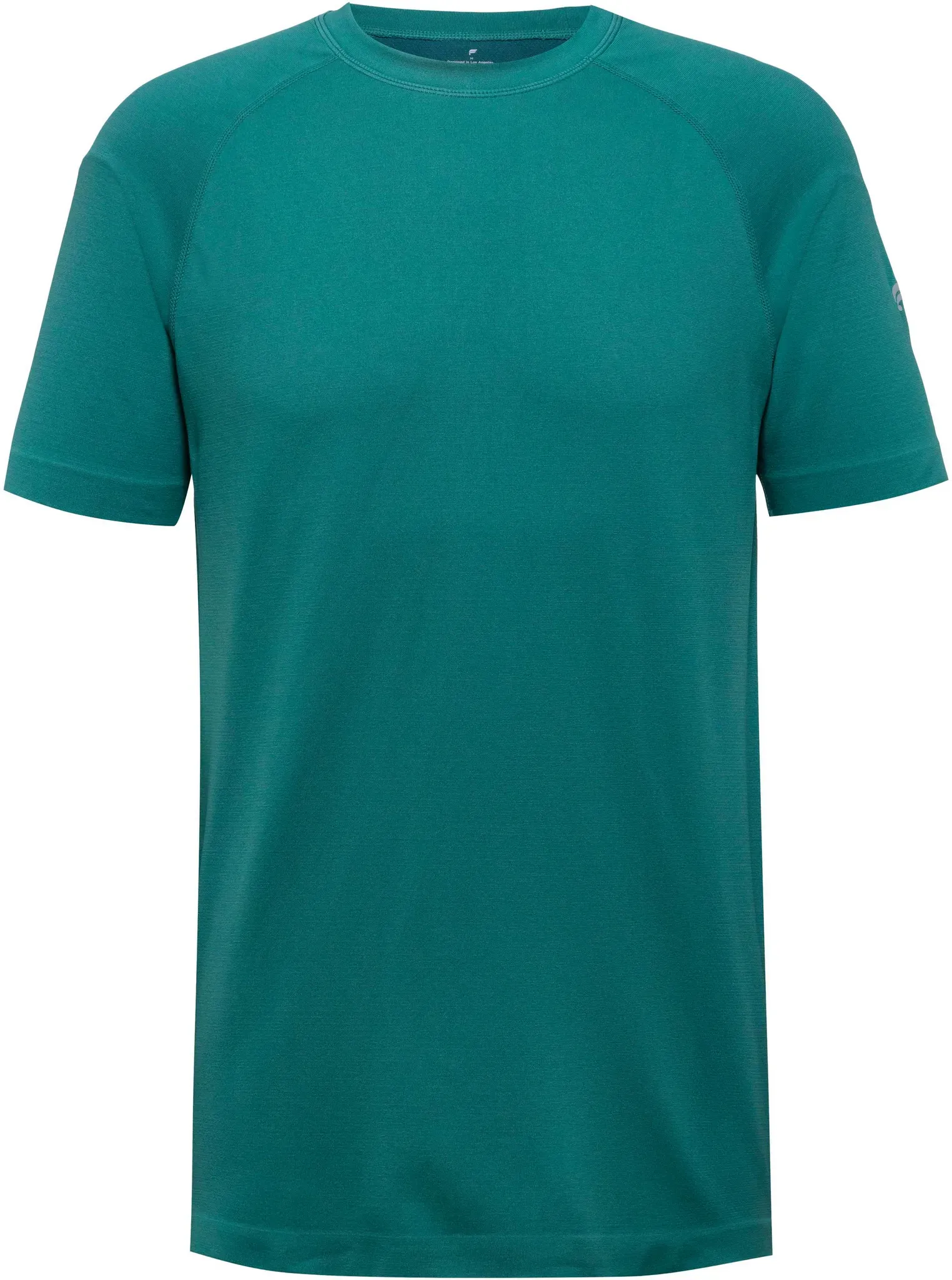 Fabletics Funktionsshirt Herren in misty jade, Größe L - grün