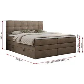 MKS Meble Boxspringbett mit Bettkasten - - Maße (cm): B: 160 H: 110