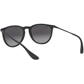 Ray-Ban Erika RB4171 622/8G 54-18 black/grey gradient