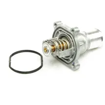 Wahler Thermostat, Kühlmittel