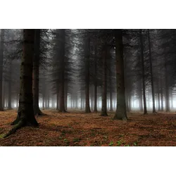 Fototapete PAPERMOON "Photo-Art DRAGISA PETROVIC, PLATZ DER STILLE", bunt, B:3,50m L:2,60m, Vlies, Tapeten