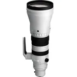 Sigma 300-600mm DG OS Sony E