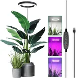 Rosnek Wachstumsleuchten für Zimmerpflanzen, 72 LEDs, Dimmbar LED Vollspektrum Pflanzenleuchte, 35–155 cm Höhenverstellbare Wachstumslampe mit Timer für Große Pflanzen (Schwarz ohne Adapter)