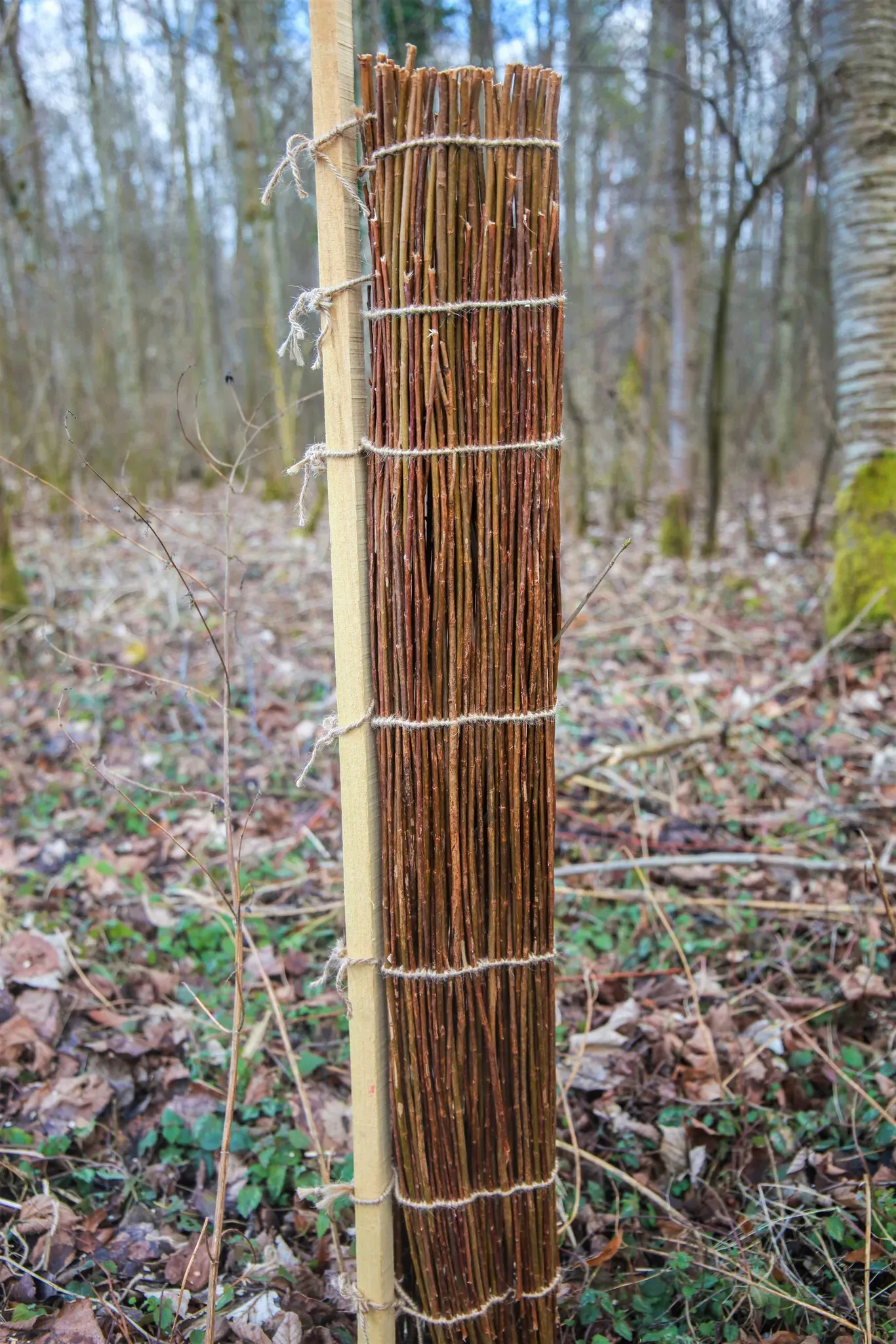 Bio-Wuchshülle Weidenhülle