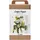 Creativ Company Krepppapier Maxi Kreativ Set Blumenstrauß Hellgrün Dunkelgrün Pastellgrün Weiß