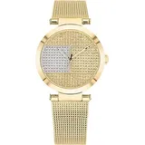 Tommy Hilfiger 1781867 - 39 mm)