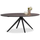 Homestyle4u Esstisch Braun, Metall, 95x76x200 cm Esszimmer, Tische, Esstische