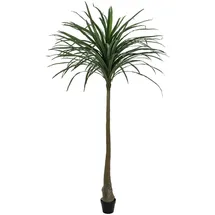 Europalms Dracena, künstlich, grün, 220cm