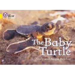 The Baby Turtle