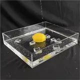 3 mm Dicker, durchsichtiger, Flacher Wassertank, Foto-Aufbewahrungstablett, Foto-Posing-Requisiten, Acryl-Vitrine, 5/10 cm hohe kosmetische Werbe- und Schieß-Requisiten (Color : 3mm-Clear, Size : 20
