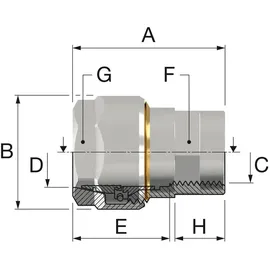 Simplex PLUS DVGW 3/4 Schwarzrohradapter, Anschlussverschraubung aus Messing F13092