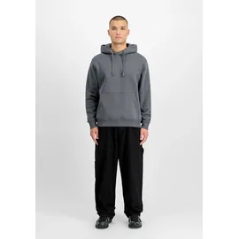 Alpha Industries DTM Alpha Hoodie grau M