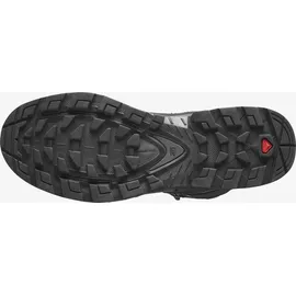 Salomon Quest 4 GTX Herren Magnet/Black/Quarry 42 2/3