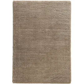 Astra Hochflor-Teppich ASTRA "New Livorno", braun, B:160cm H:30mm L:230cm, Kunstfaser, Teppiche, Kurzflor, Wohnzimmer
