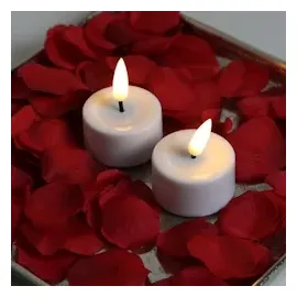 Deluxe Homeart LED Teelichter Mia D: 4,1 cm 2 St. weiß