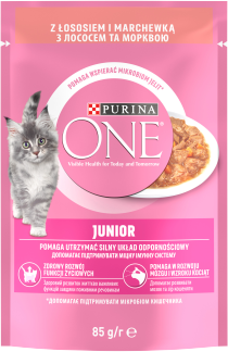 purina one junior