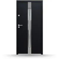 Nebeneingangstür Anthrazit, 90x200 cm, nach innen öffnend, Stahl, Modell Aalen, individuell konfigurieren